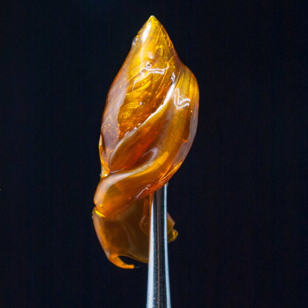 Close up of Dab Spoon holding Cannabis Distillate